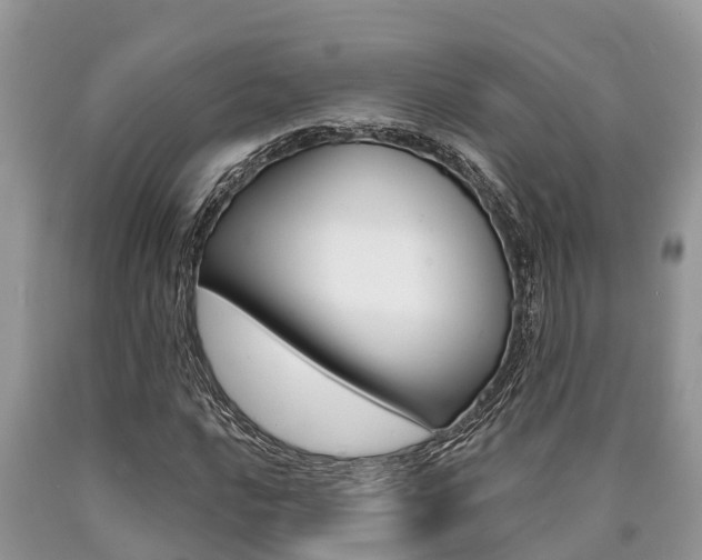 X0000090711016200707200946
