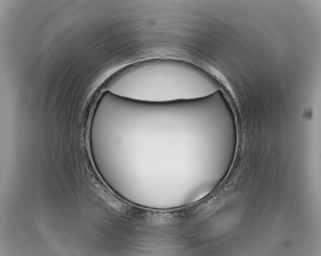 X0000090711019200707200946