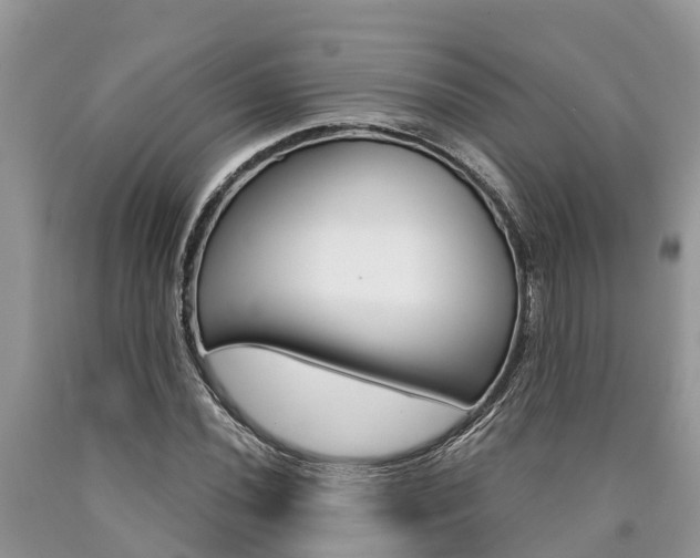 X0000090711020200707200946