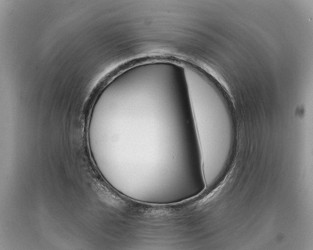 X0000090711021200707200946