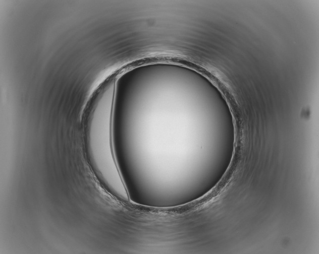 X0000090711022200707200946