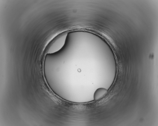 X0000090711023200707200946