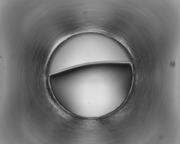 X0000090711024200707200946
