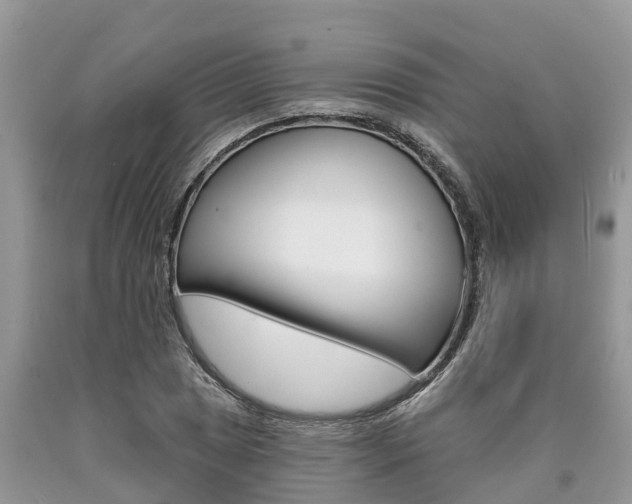X0000090711025200707200946