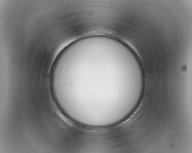 X0000090711026200707200946