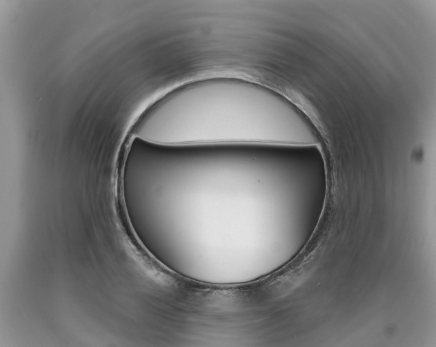 X0000090711028200707200946
