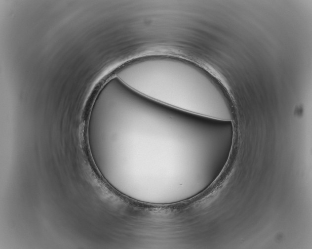 X0000090711029200707200946