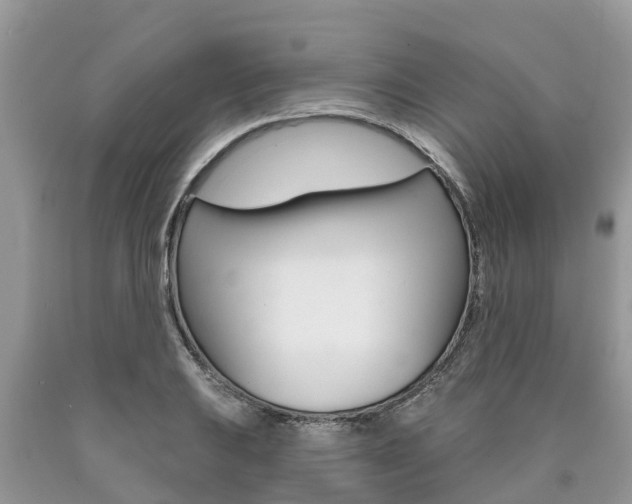X0000090711031200707200946