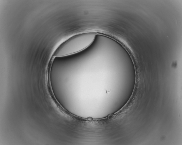 X0000090711032200707200946