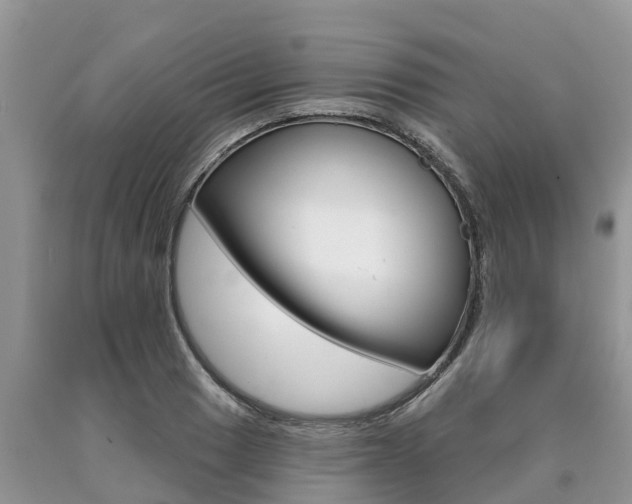 X0000090711033200707200947