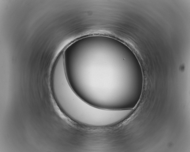X0000090711038200707200947