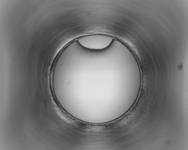 X0000090711039200707200947
