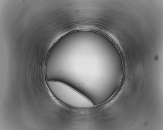 X0000090711041200707200947