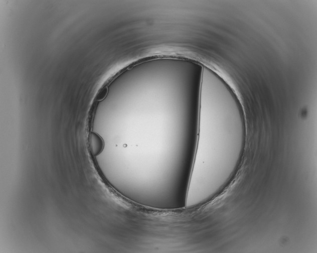 X0000090711045200707200947
