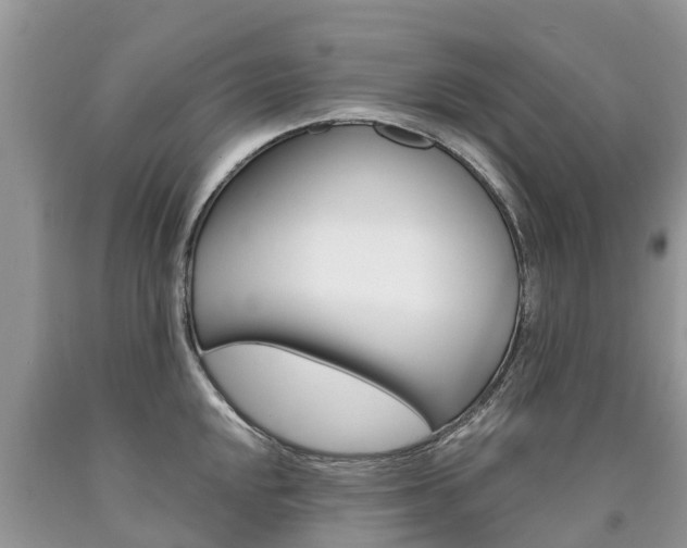 X0000090711048200707200947