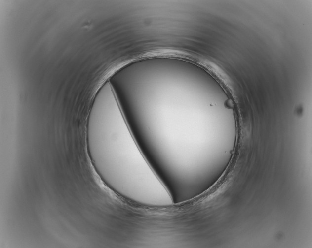 X0000090711049200707200947