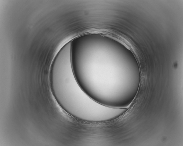 X0000090711050200707200947