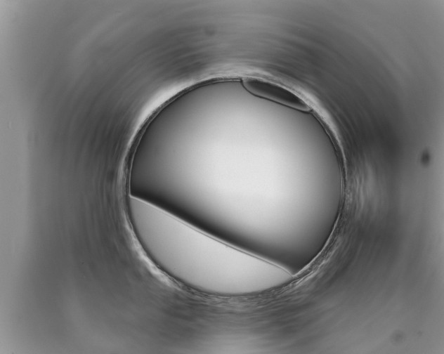 X0000090711053200707200947