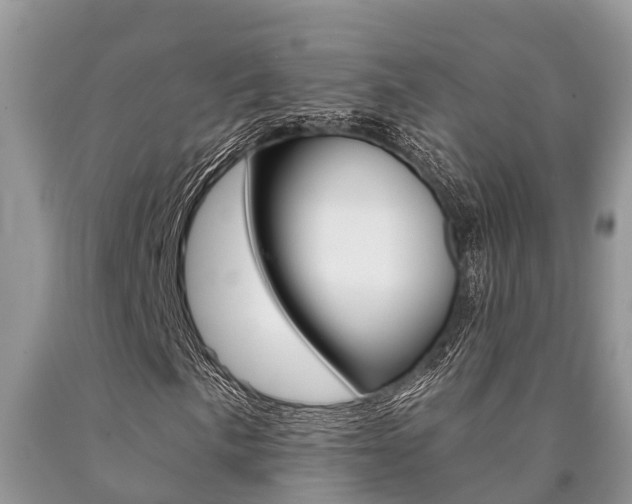 X0000090711057200707200946