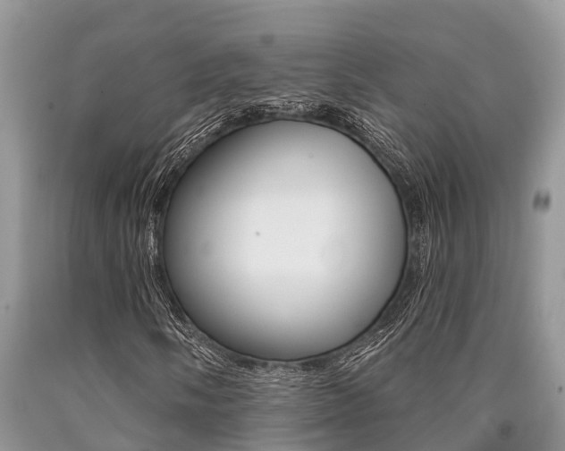 X0000090711058200707200946