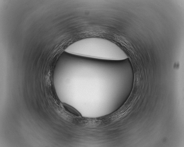 X0000090711060200707200946