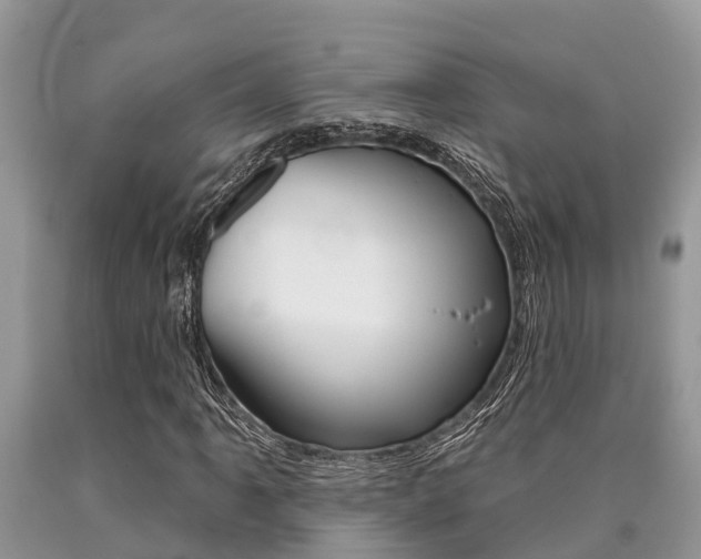 X0000090711061200707200946