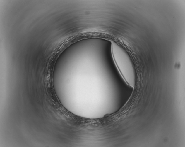 X0000090711062200707200946