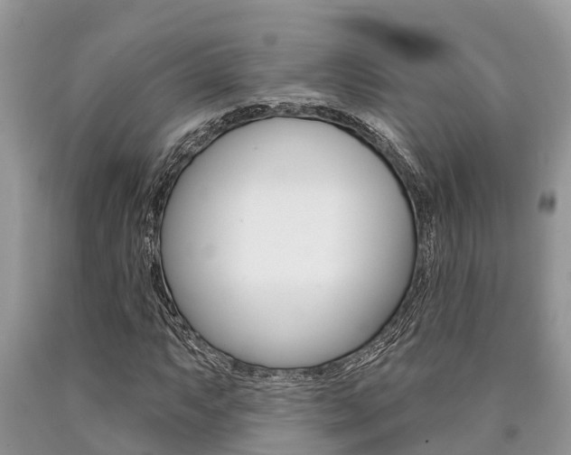 X0000090711063200707200946