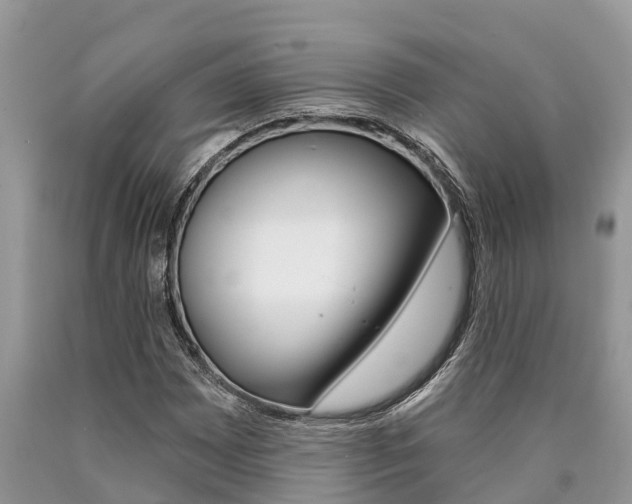 X0000090711065200707200946