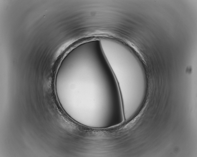 X0000090711066200707200946