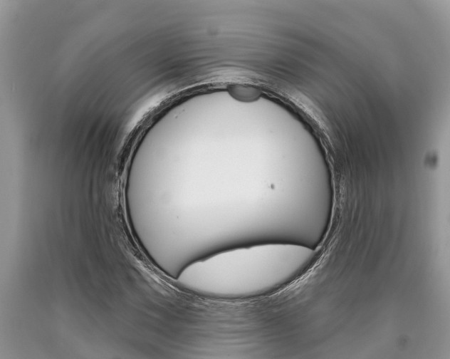 X0000090711067200707200946