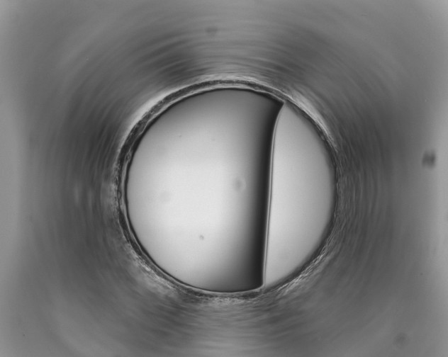 X0000090711068200707200946