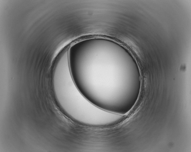 X0000090711069200707200946