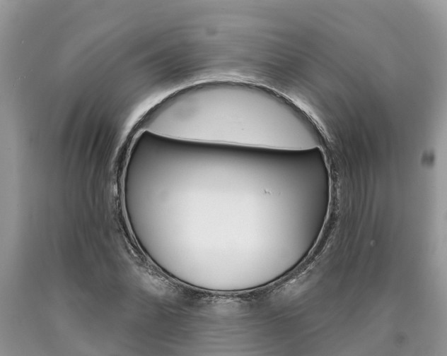 X0000090711070200707200946