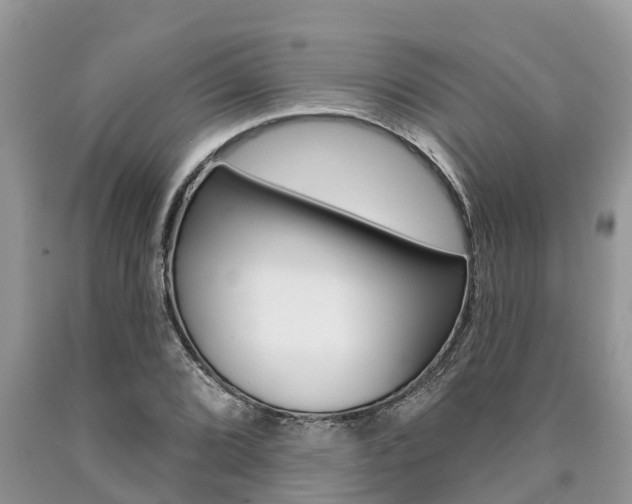 X0000090711072200707200946