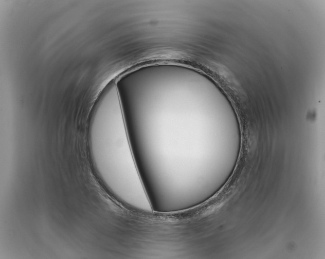 X0000090711073200707200946