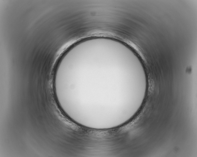 X0000090711074200707200946