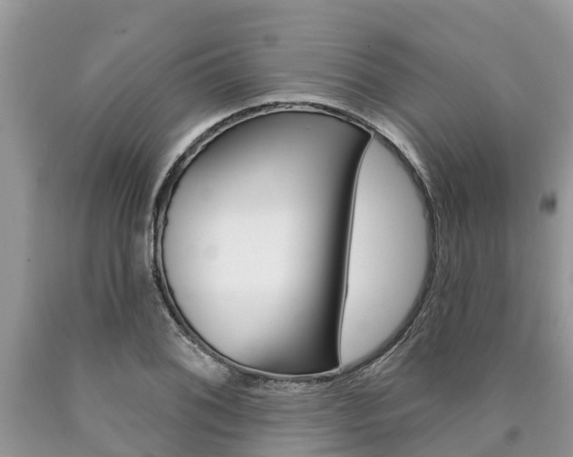 X0000090711076200707200946