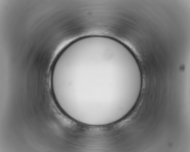X0000090711078200707200946