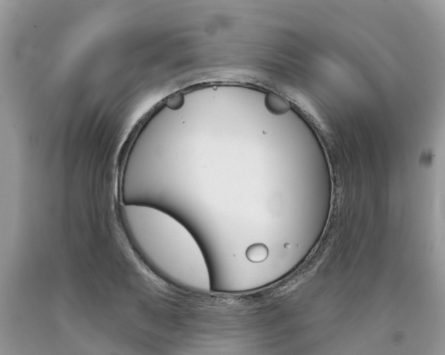 X0000090711079200707200946