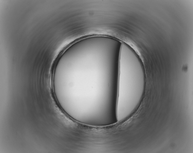 X0000090711080200707200946