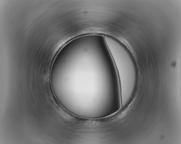 X0000090711081200707200946