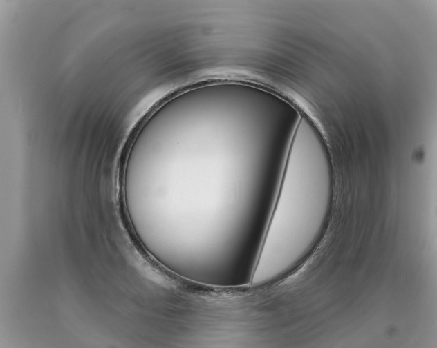 X0000090711082200707200946