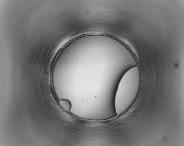 X0000090711083200707200946