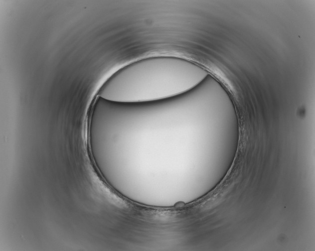 X0000090711084200707200946