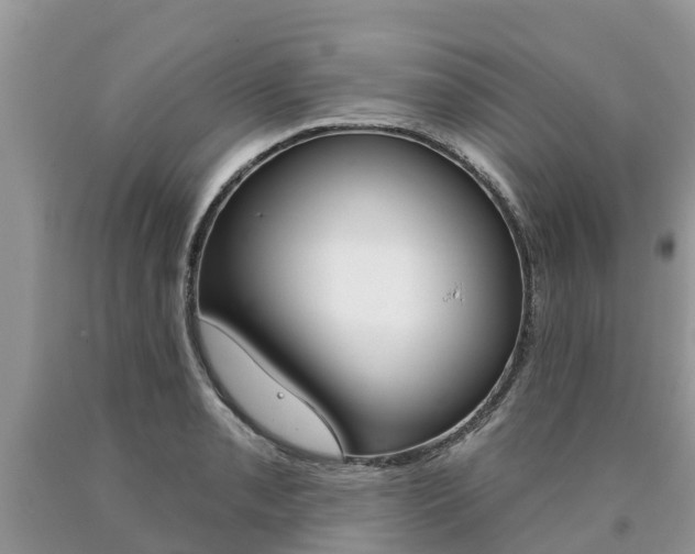 X0000090711085200707200946