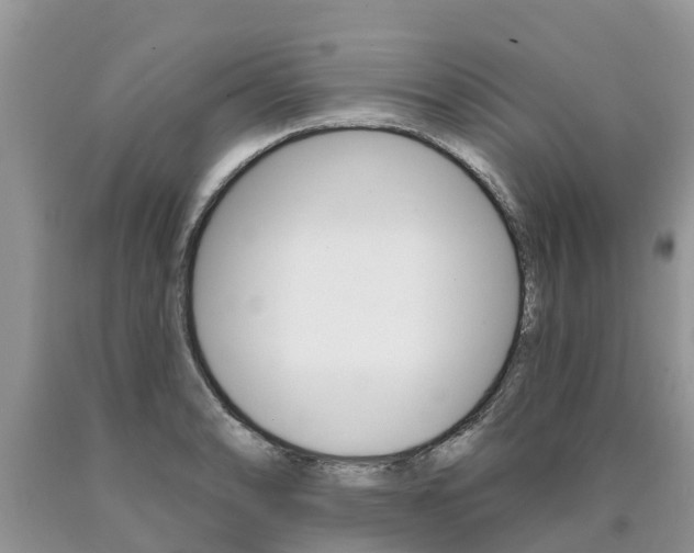 X0000090711086200707200946