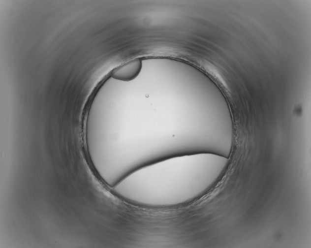 X0000090711087200707200946