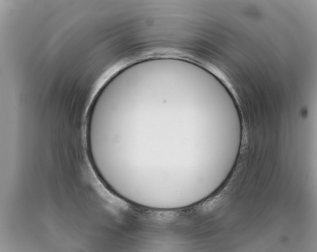 X0000090711090200707200946