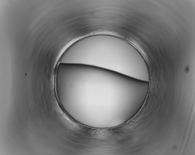 X0000090711092200707200946